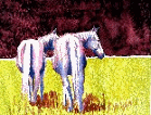 8152007_111537_0.bmp